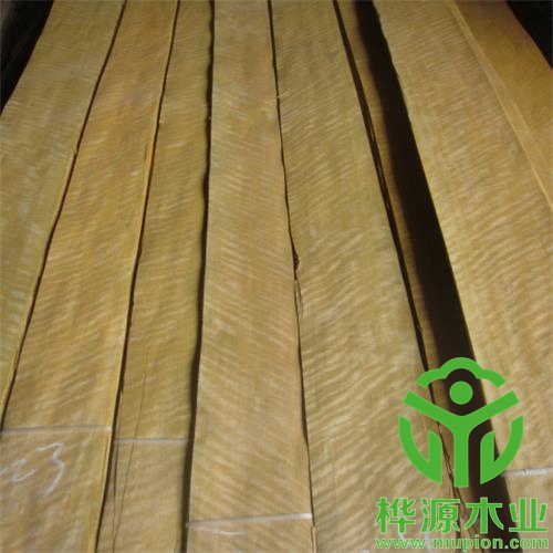 金影木皮0.5mm質量保證，排骨金影木皮優質供應